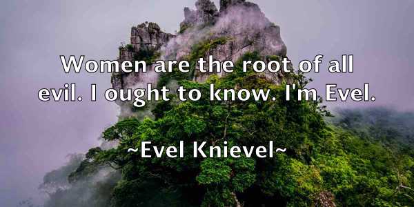 /images/quoteimage/evel-knievel-256138.jpg