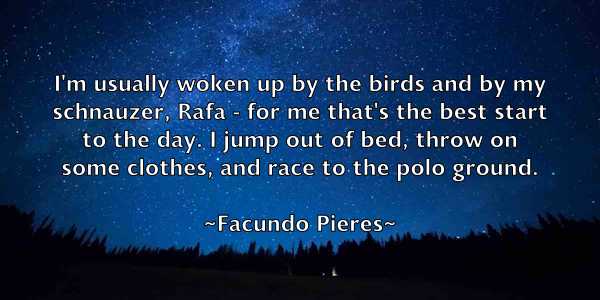 /images/quoteimage/facundo-pieres-258097.jpg