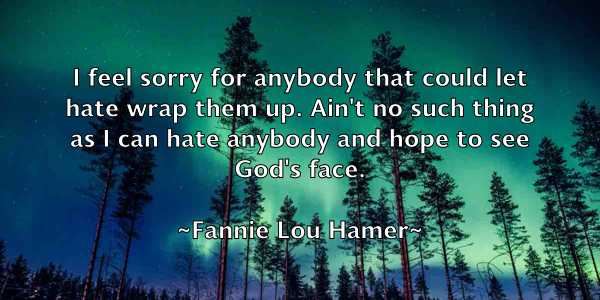 /images/quoteimage/fannie-lou-hamer-258675.jpg