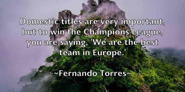 /images/quoteimage/fernando-torres-261229.jpg