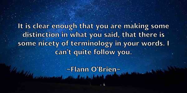 /images/quoteimage/flann-obrien-262433.jpg