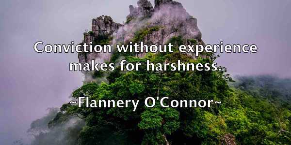 /images/quoteimage/flannery-oconnor-262444.jpg