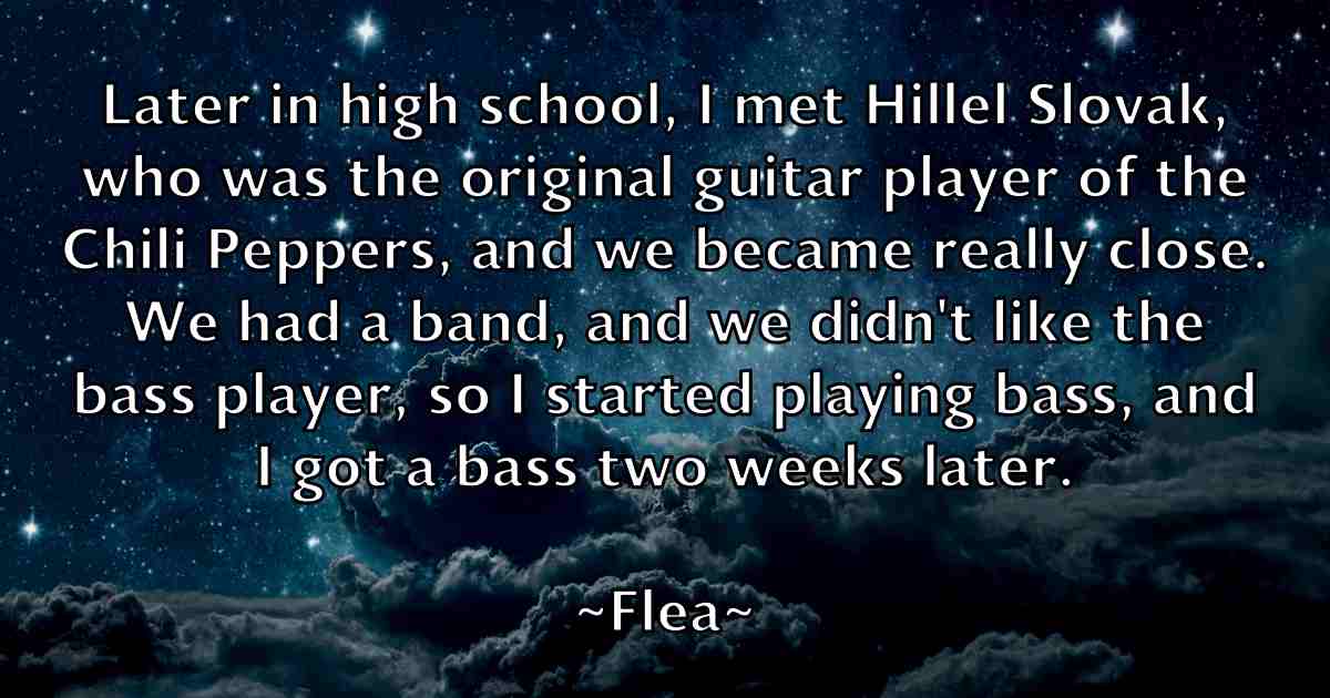 /images/quoteimage/flea-flea-fb-262508.jpg