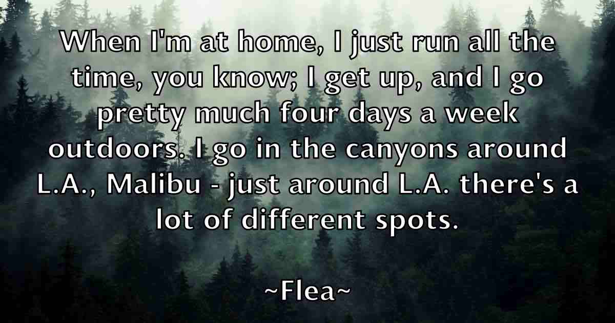 /images/quoteimage/flea-flea-fb-262526.jpg