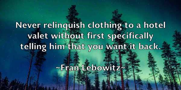 /images/quoteimage/fran-lebowitz-263973.jpg