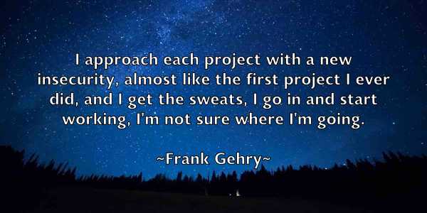 /images/quoteimage/frank-gehry-267180.jpg