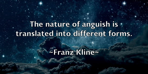 /images/quoteimage/franz-kline-269735.jpg