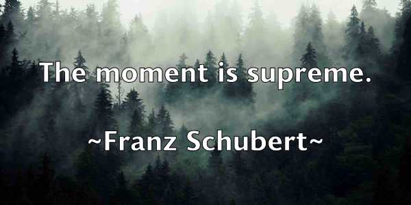 /images/quoteimage/franz-schubert-269786.jpg