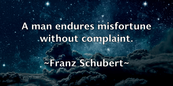 /images/quoteimage/franz-schubert-269789.jpg