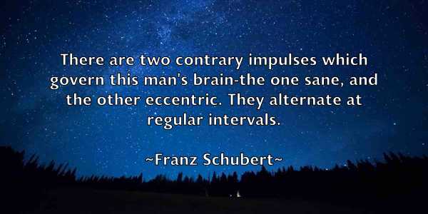 /images/quoteimage/franz-schubert-269790.jpg