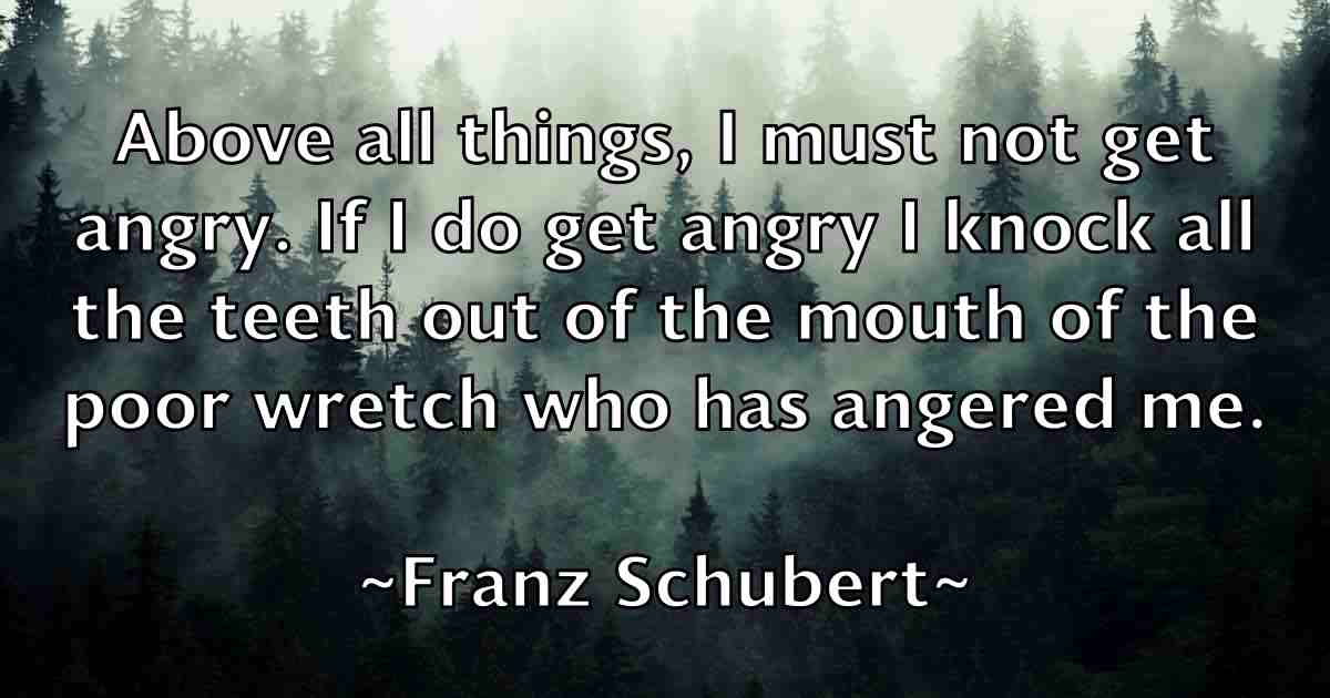 /images/quoteimage/franz-schubert-fb-269787.jpg