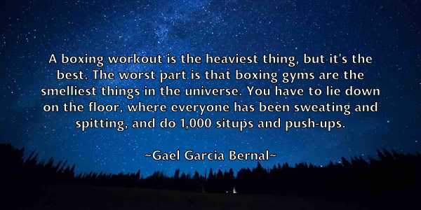 /images/quoteimage/gael-garcia-bernal-274499.jpg