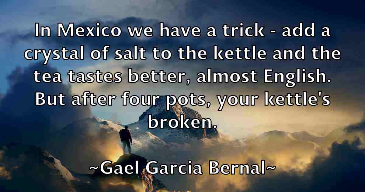 /images/quoteimage/gael-garcia-bernal-fb-274515.jpg