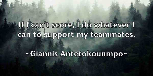 /images/quoteimage/giannis-antetokounmpo-291316.jpg