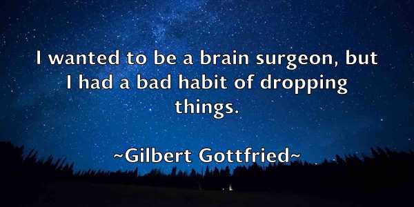 /images/quoteimage/gilbert-gottfried-291925.jpg