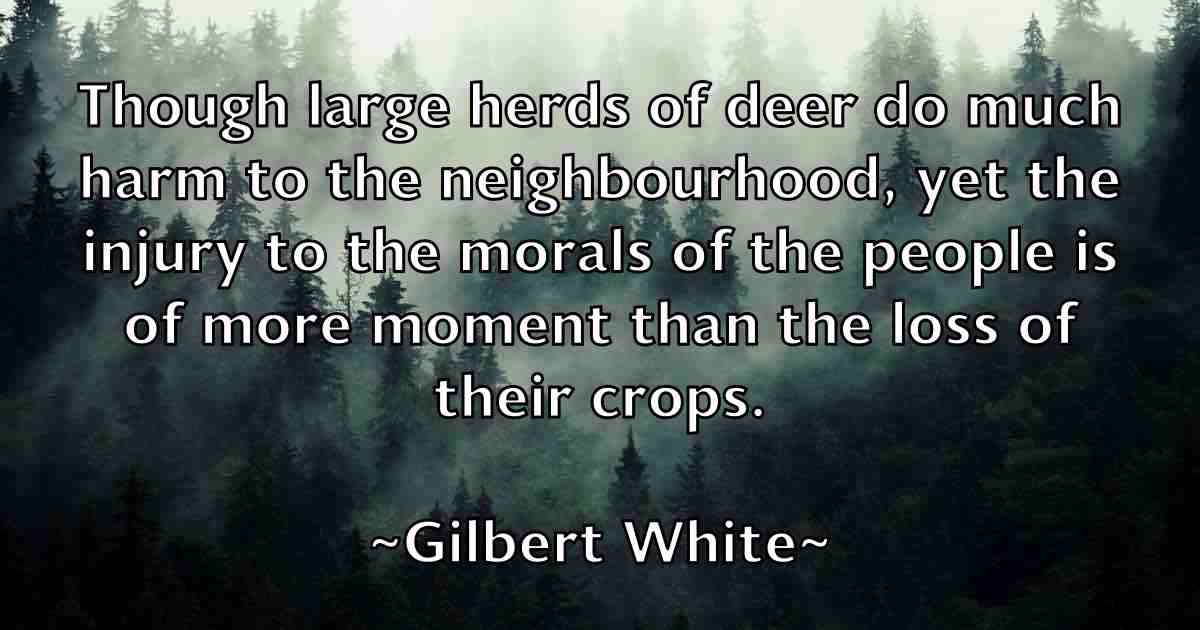 /images/quoteimage/gilbert-white-fb-292287.jpg