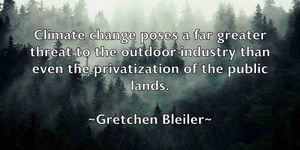 /images/quoteimage/gretchen-bleiler-302872.jpg