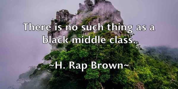 /images/quoteimage/h-rap-brown-306903.jpg