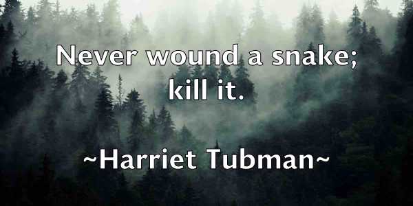 /images/quoteimage/harriet-tubman-311628.jpg