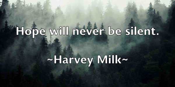 /images/quoteimage/harvey-milk-313541.jpg