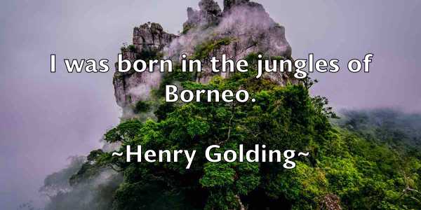 /images/quoteimage/henry-golding-318906.jpg