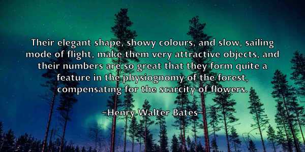 /images/quoteimage/henry-walter-bates-320807.jpg