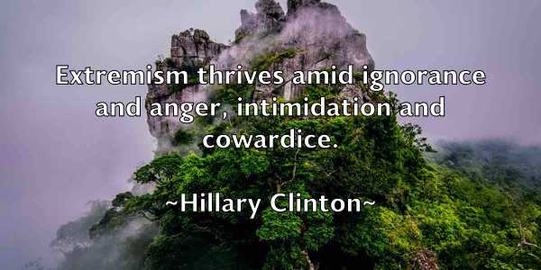/images/quoteimage/hillary-clinton-323329.jpg