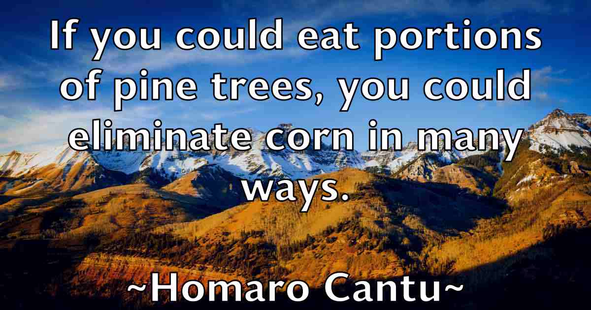 /images/quoteimage/homaro-cantu-fb-325143.jpg