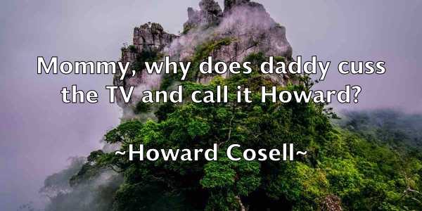 /images/quoteimage/howard-cosell-326230.jpg