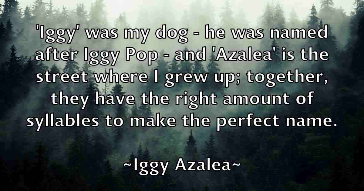 /images/quoteimage/iggy-azalea-fb-331475.jpg