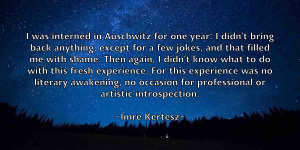 /images/quoteimage/imre-kertesz-333097.jpg