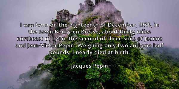 /images/quoteimage/jacques-pepin-345524.jpg