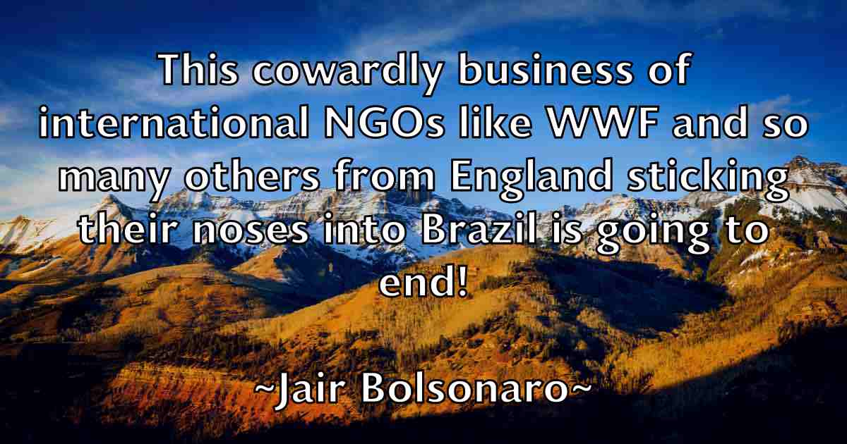 /images/quoteimage/jair-bolsonaro-fb-346944.jpg