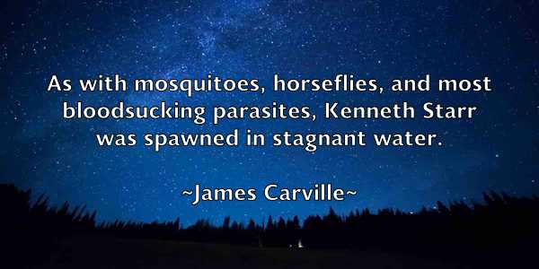 /images/quoteimage/james-carville-350228.jpg