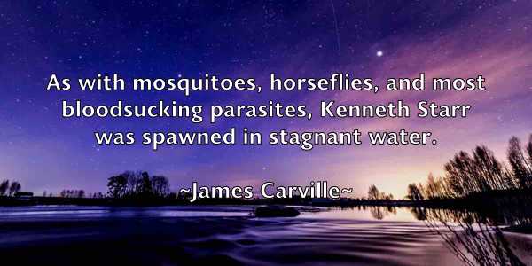 /images/quoteimage/james-carville-350228.jpg