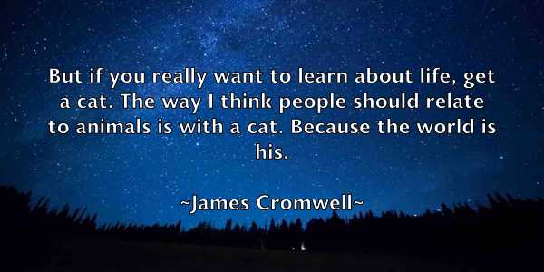 /images/quoteimage/james-cromwell-350792.jpg