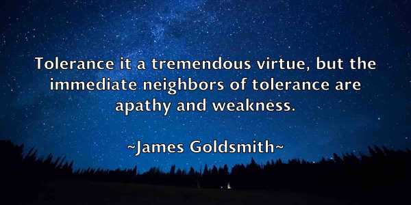 /images/quoteimage/james-goldsmith-351963.jpg