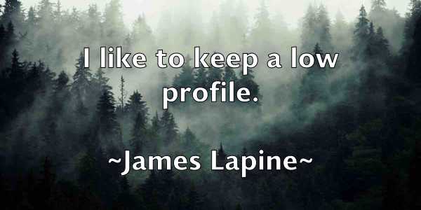 /images/quoteimage/james-lapine-353293.jpg