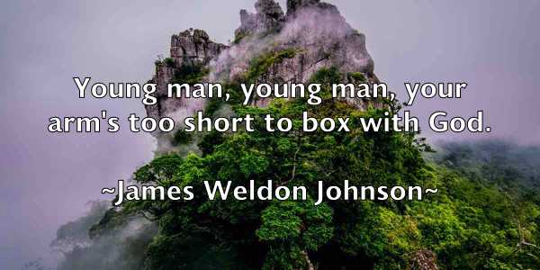 /images/quoteimage/james-weldon-johnson-356612.jpg