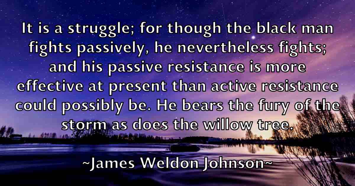 /images/quoteimage/james-weldon-johnson-fb-356616.jpg