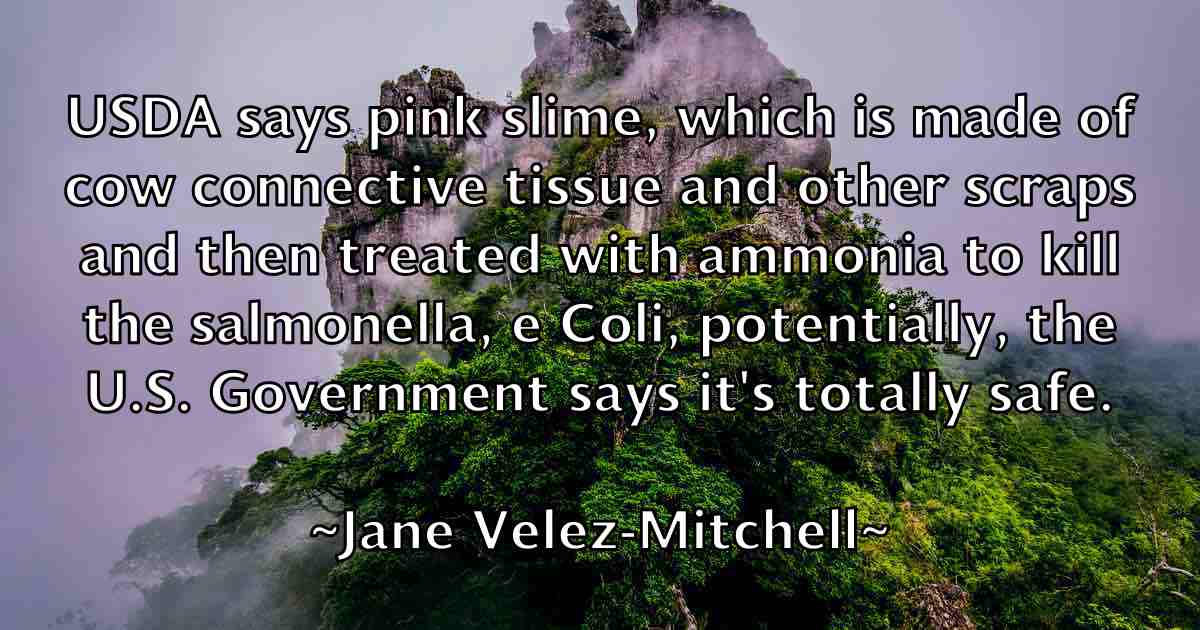 /images/quoteimage/jane-velez-mitchell-fb-360660.jpg