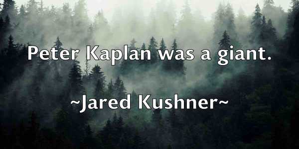 /images/quoteimage/jared-kushner-362343.jpg