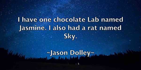 /images/quoteimage/jason-dolley-364095.jpg