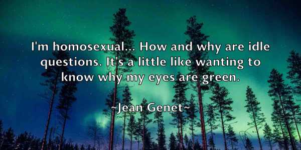 /images/quoteimage/jean-genet-369346.jpg