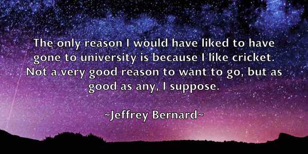 /images/quoteimage/jeffrey-bernard-374678.jpg