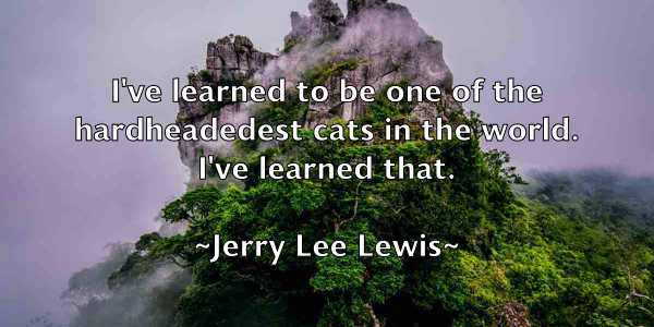 /images/quoteimage/jerry-lee-lewis-382458.jpg