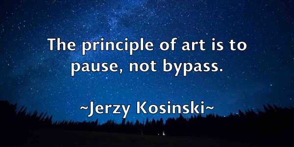 /images/quoteimage/jerzy-kosinski-383364.jpg