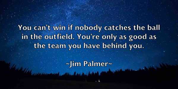 /images/quoteimage/jim-palmer-391396.jpg