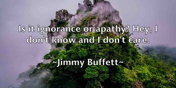 /images/quoteimage/jimmy-buffett-392904.jpg