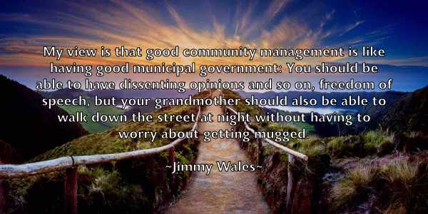 /images/quoteimage/jimmy-wales-394316.jpg